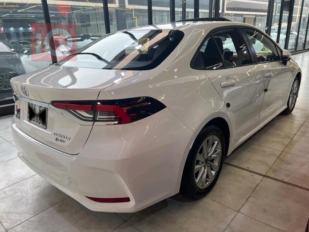 تويوتا كورولا